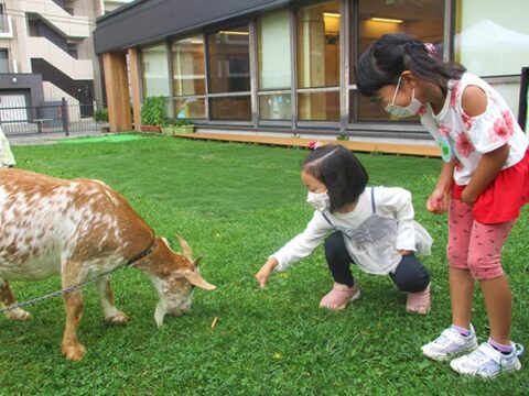 園のご紹介 カトリック聖園こどもの家｜学校法人北海道カトリック学園